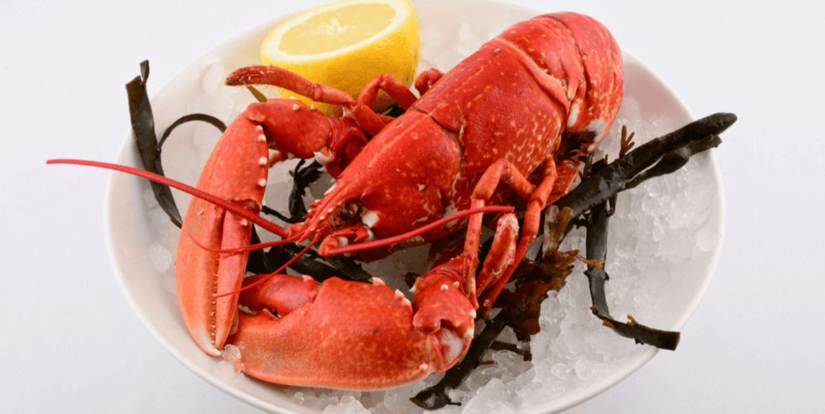 Whole Lobster - Quai des artistes 